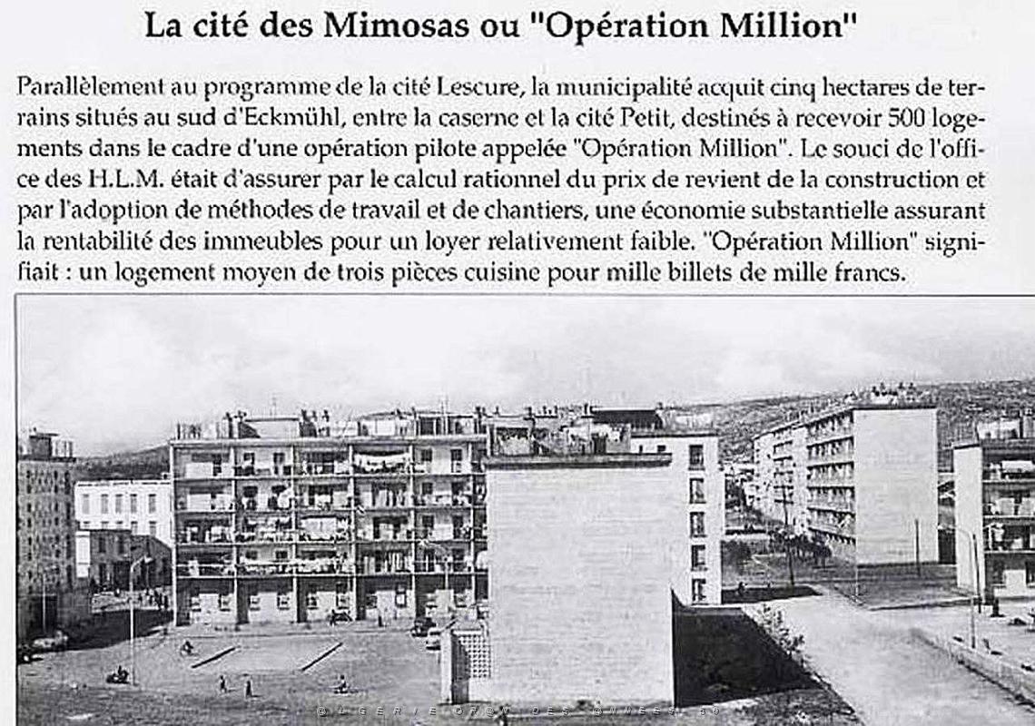 Cite Mimosas 04.jpg